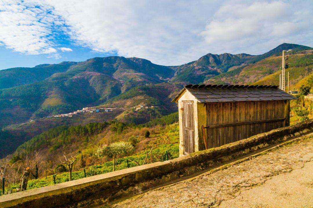 Maison d'hôtes "Casa Da Russa" Mountain Experience à Vila Real Extérieur photo